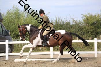 NTY-1489