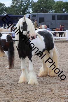 XER-1209