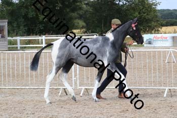 XER-1254
