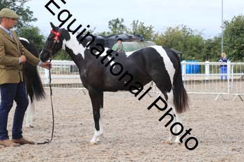 XER-1294
