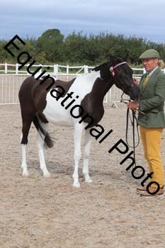 XER-1477