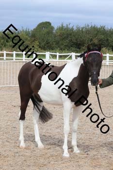 XER-1479