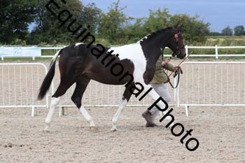 XER-1527