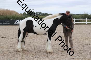 XER-1786