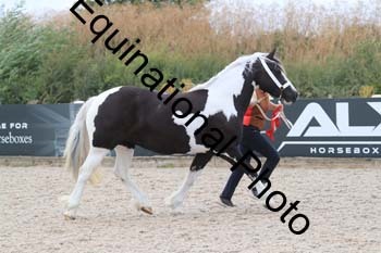 XER-2004