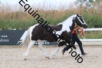 XER-2005