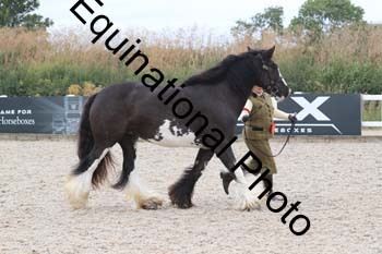 XER-2010