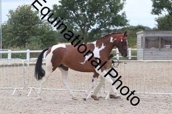 XER-2019