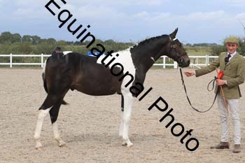 XER-2267