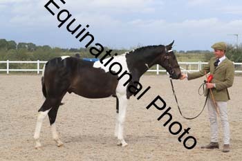 XER-2268