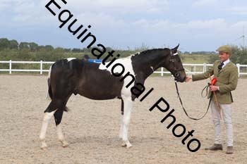 XER-2269