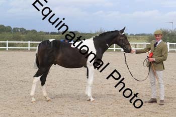 XER-2270