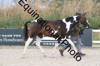 XER-2282