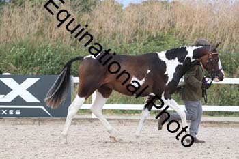 XER-2283