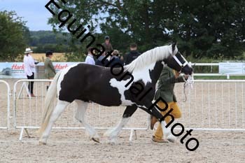 XER-2309