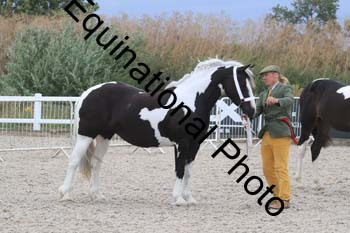 XER-2346