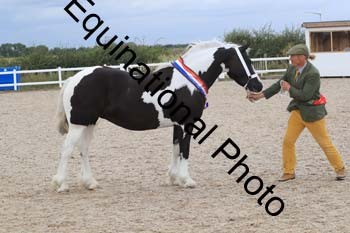 XER-2356