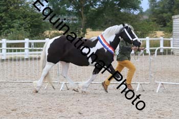 XER-2368