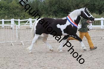 XER-2371