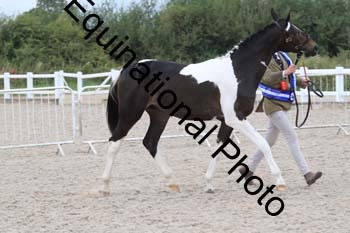 XER-2376