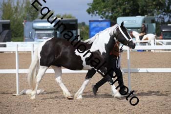 SUN-1118