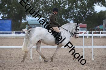 SUN-1363