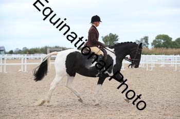 SUN-1388