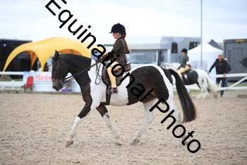 SUN-1551