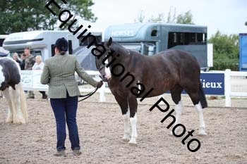 LIV-1921