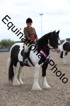 1_PVT-1208