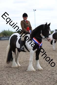 1_PVT-1210