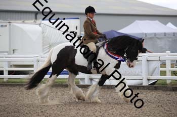 1_PVT-1225
