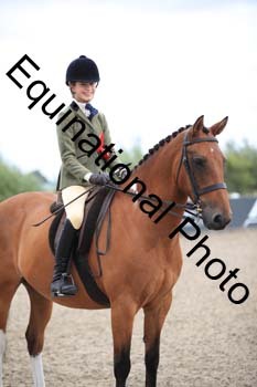 PVT-1194