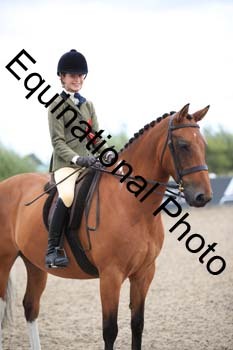 PVT-1195