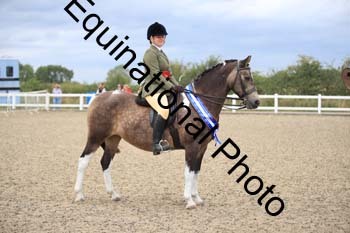 PVT-1398