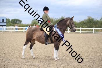 PVT-1399