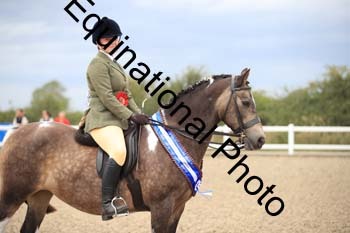 PVT-1400