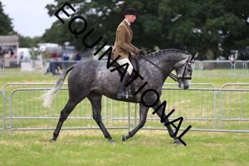 BFT-1465