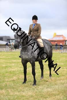 BFT-1680