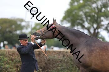 CDF-1466