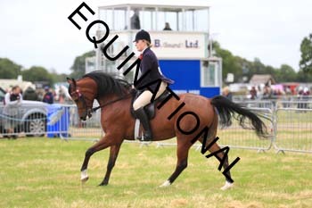 CDF-1802