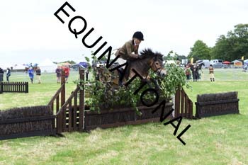GXM-1246