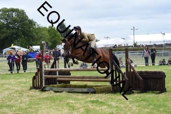 GXM-1644