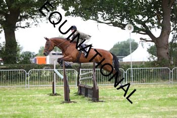 QAR-1010