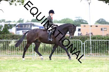 QAR-1264