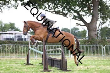 QAR-1372