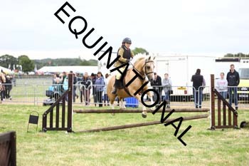 QAR-1648