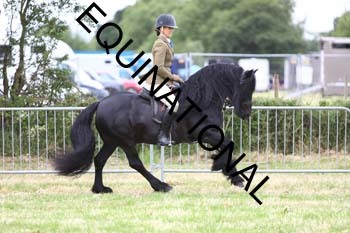 QAR-1786