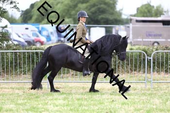 QAR-1787