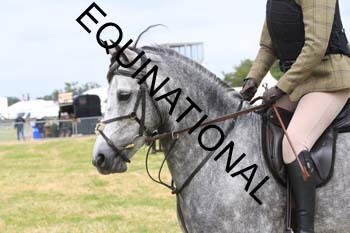 QAR-1800